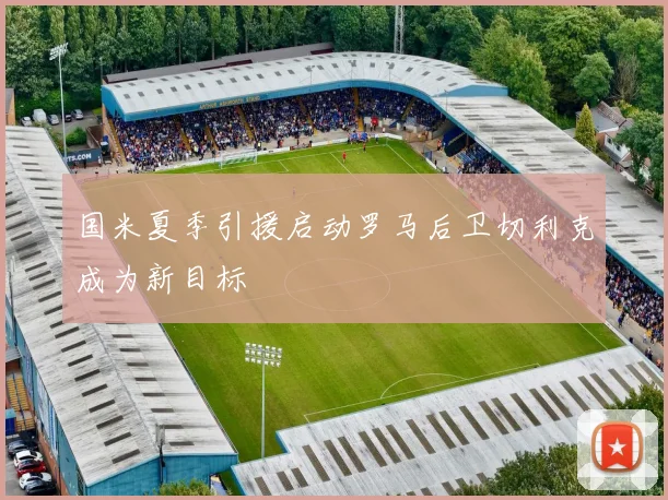国米夏季引援启动罗马后卫切利克成为新目标