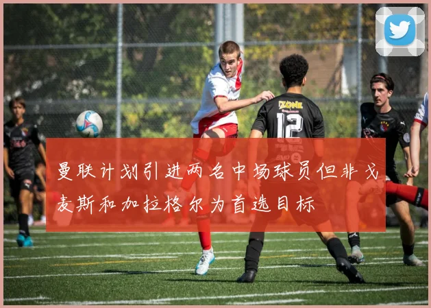 曼联计划引进两名中场球员但非戈麦斯和加拉格尔为首选目标
