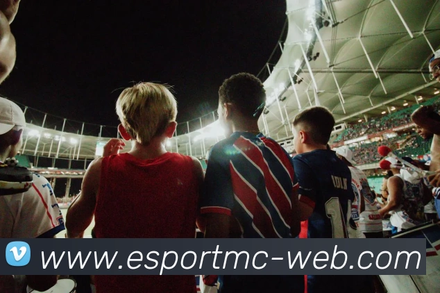 易倍体育APP 封面图