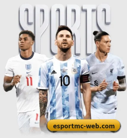 坚持做好基础的事 - EMCSPORTS